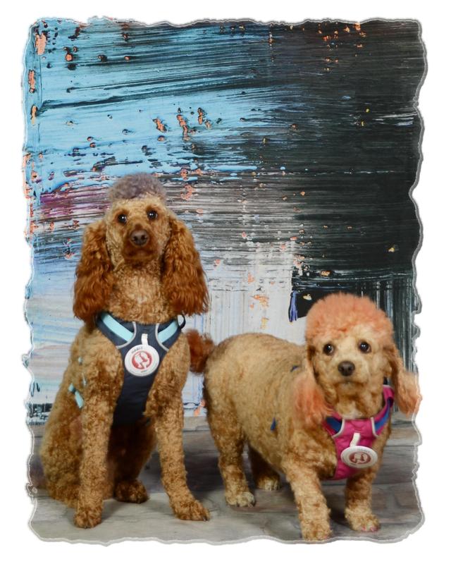 Rudy and Bella