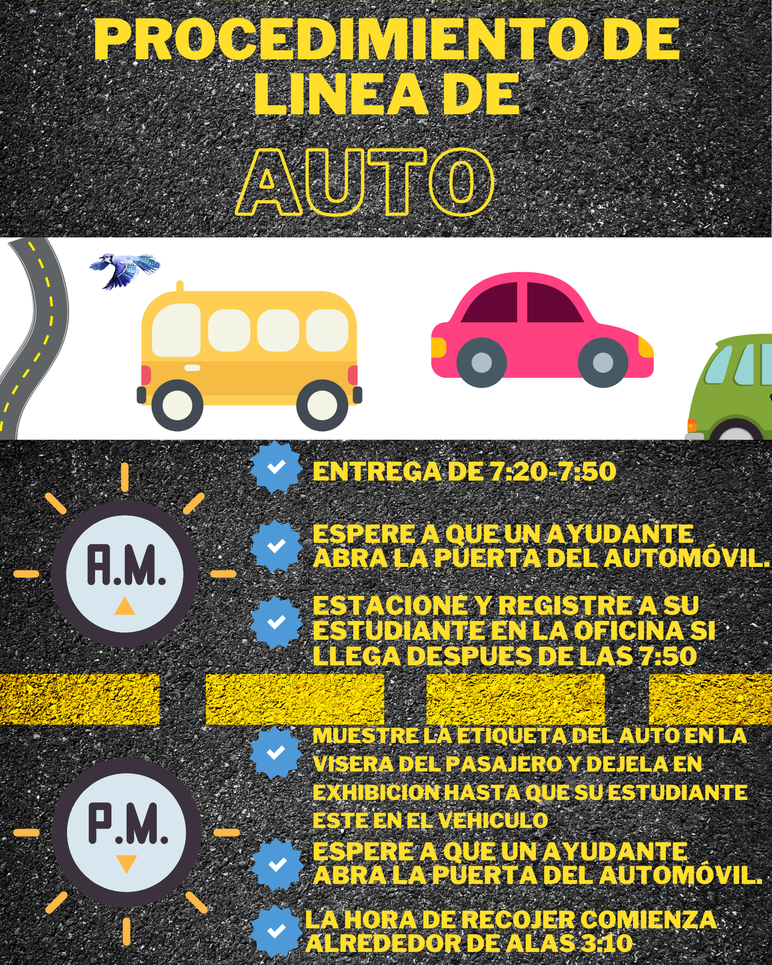 Carline Procedures graphic spanish