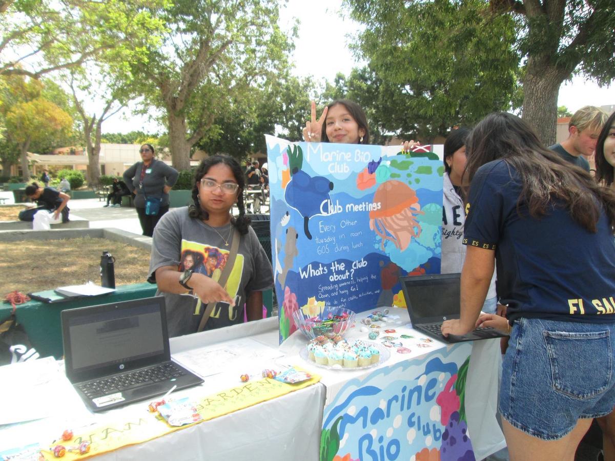 marine bio club