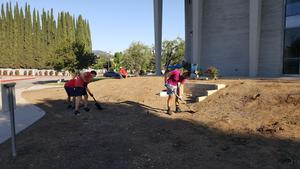 20210612_074002 - Copy.jpg