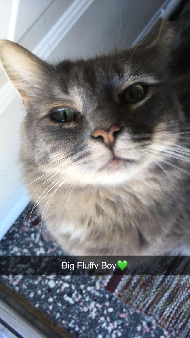 Fluff