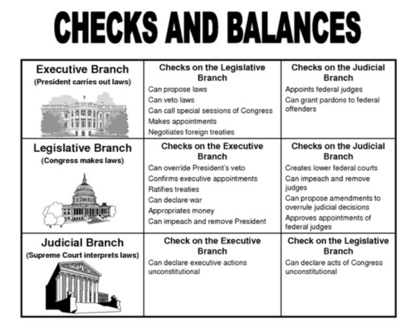 Checks and Balances Picture.PNG