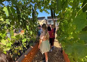 students standing among green leaves