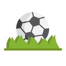 soccer ball in grass