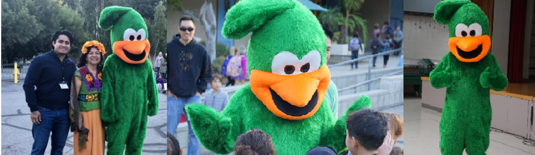 Placeholder text, please change