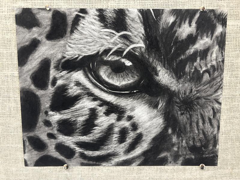 Drawing 1 Eyes and Art 1020 Objects