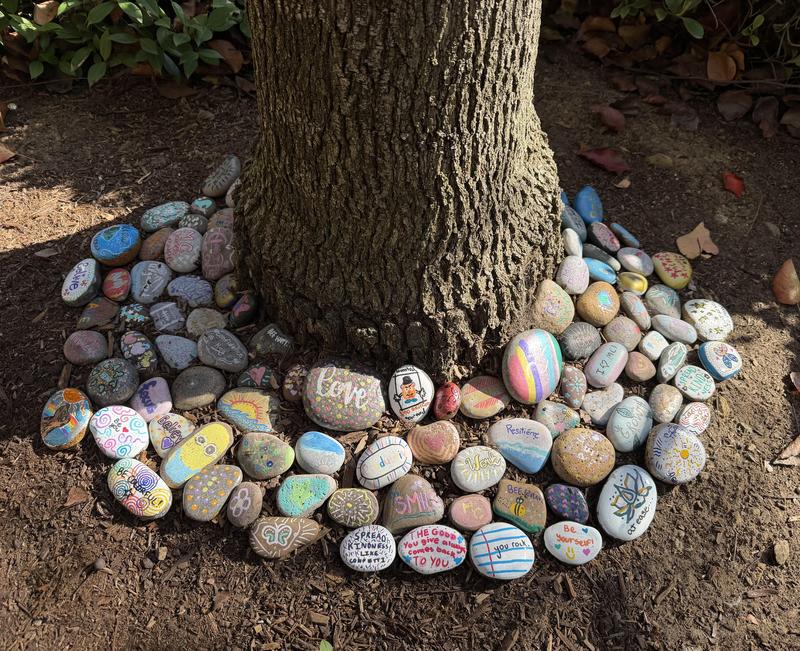 Rock garden at Mt Carmel High