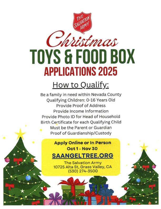 Angel Tree application