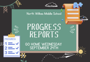 Progress Reports