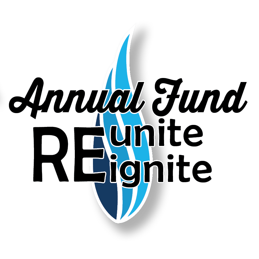 annual fund