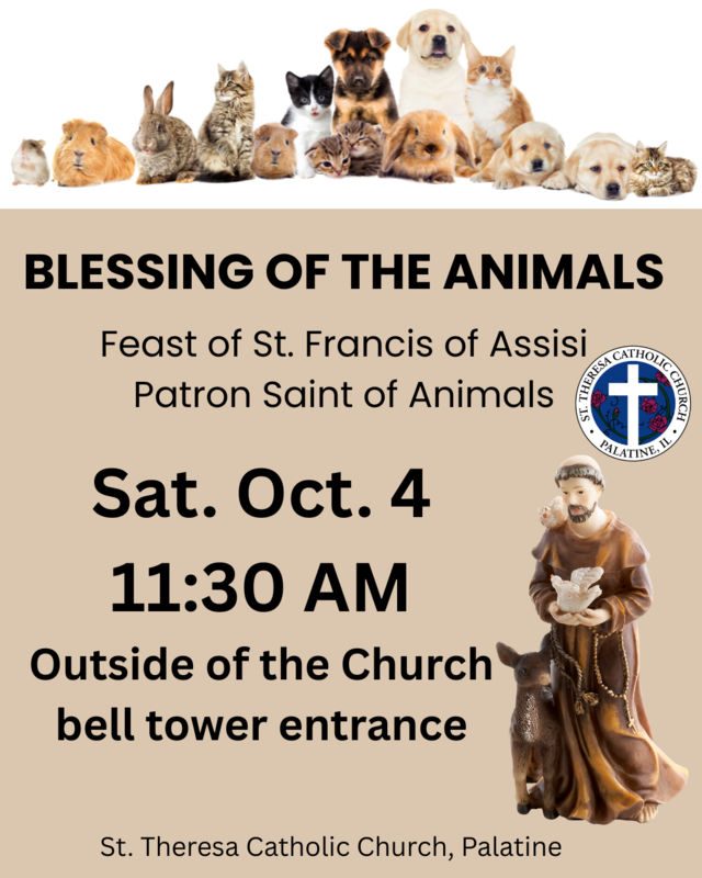 Pet Blessing