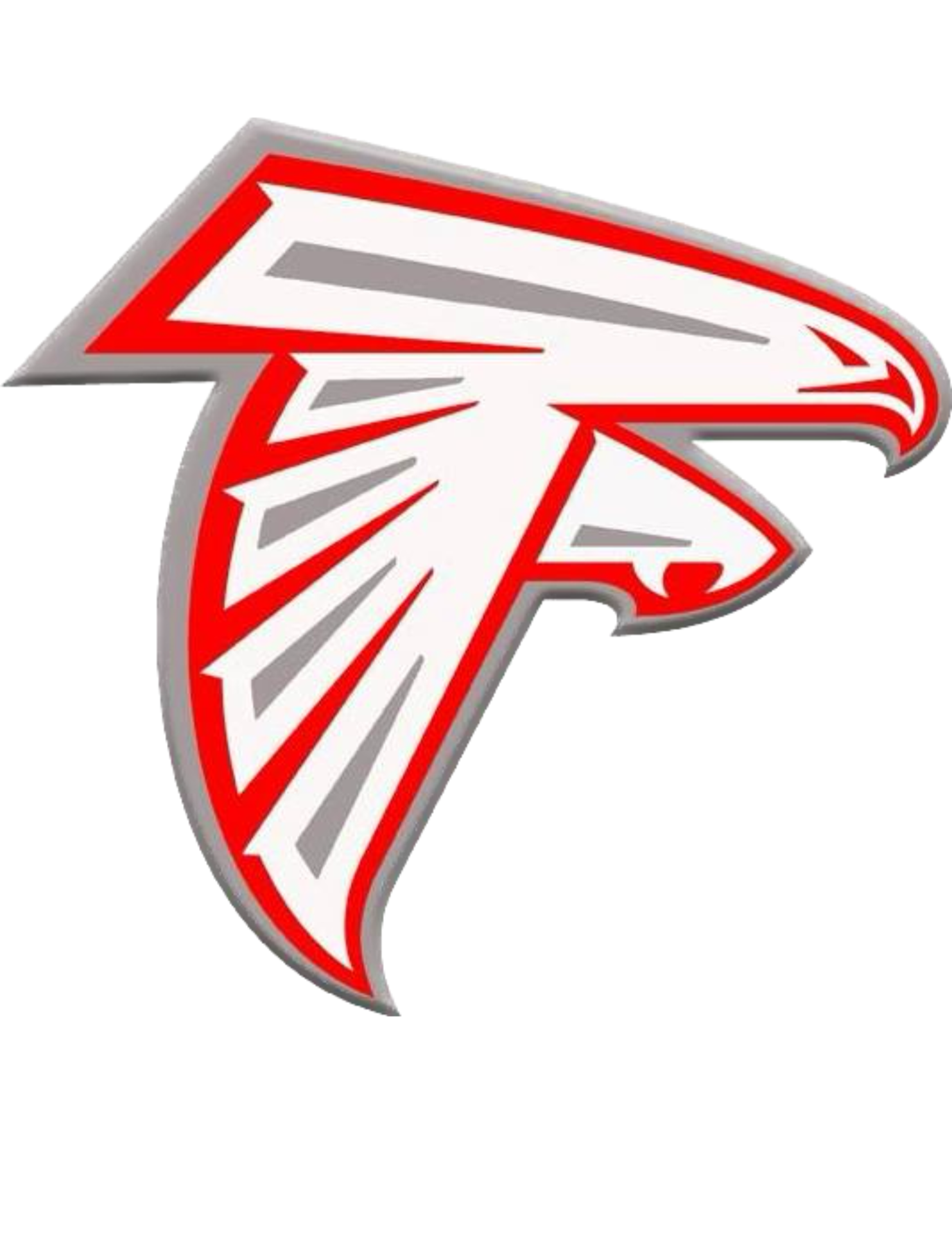 Falcon image