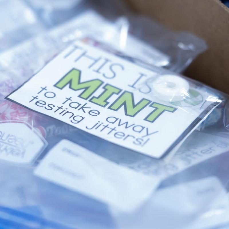 Whittier School MCAS Pep Rally Featured Photo