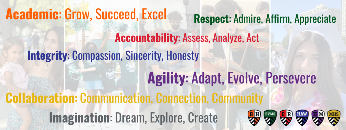 BHUSD Values
