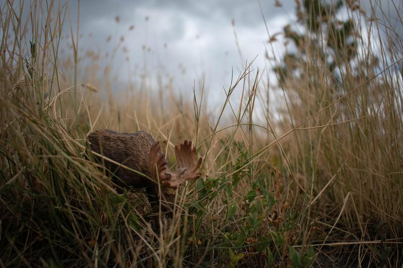 Photography Spotlight