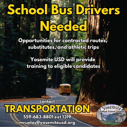 School Bus Drivers Needed Infographic
