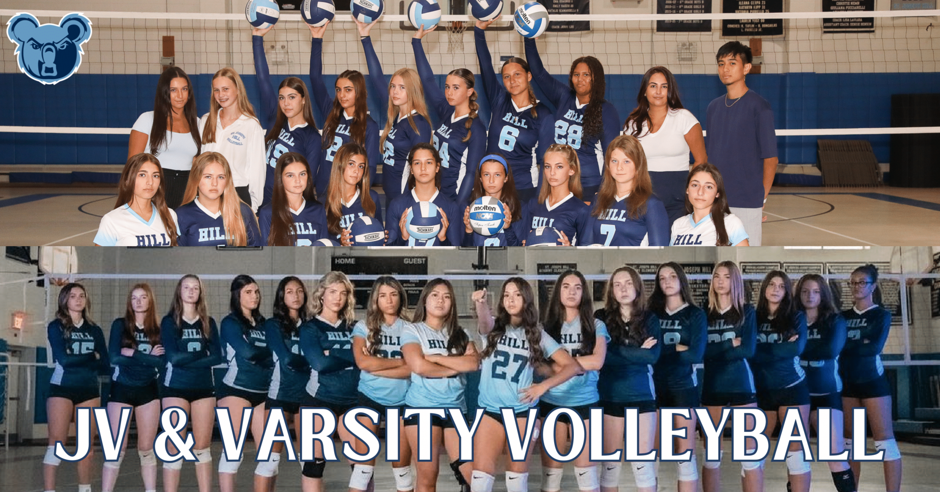 volleyball
