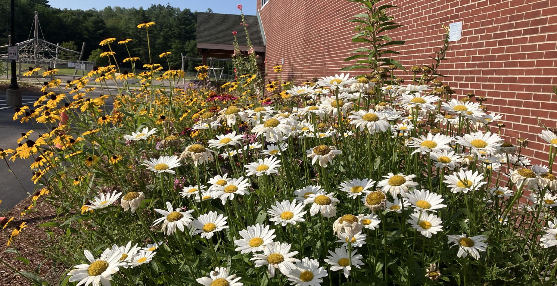 GVS Flowers