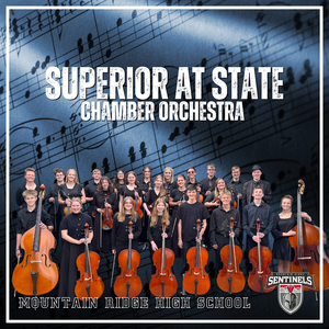 MRHS Chamber Orchestra earns highest rating from national adjudicators.