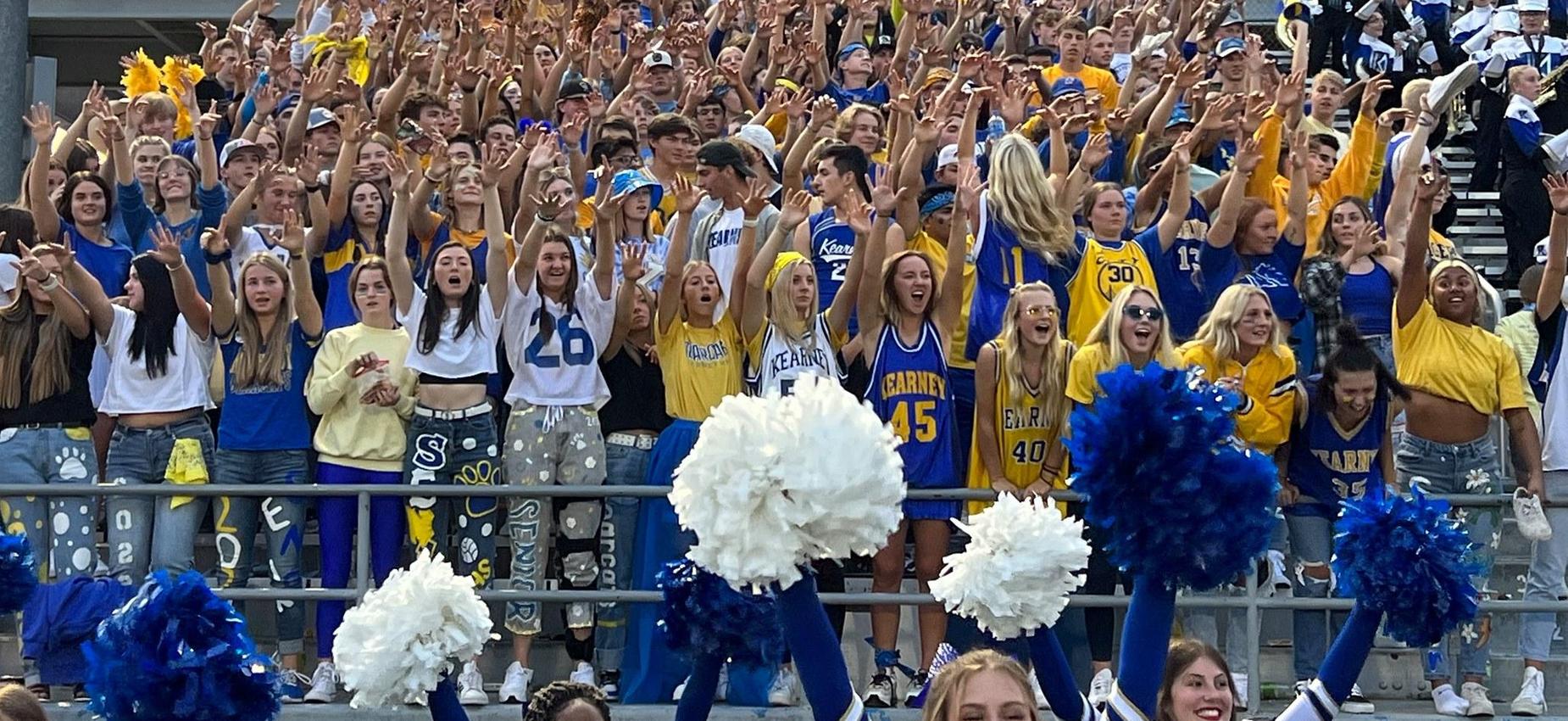 Rowdies
