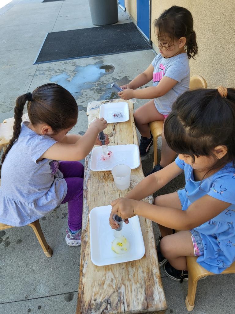 Insects Study – Curriculum – Jaime Escalante Early Education Center