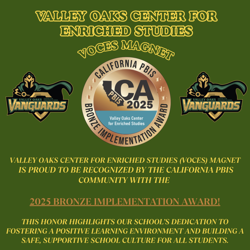 Bronze award