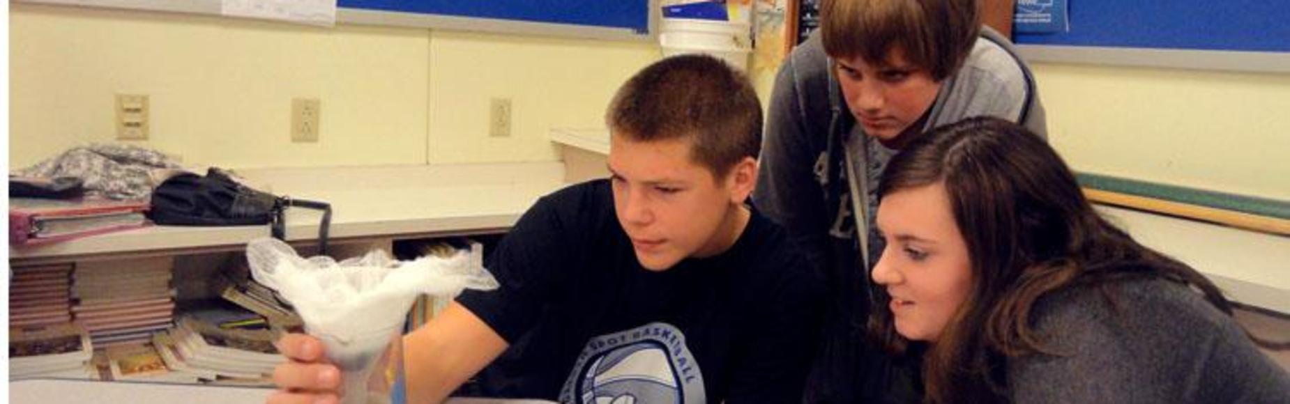Students working together picture