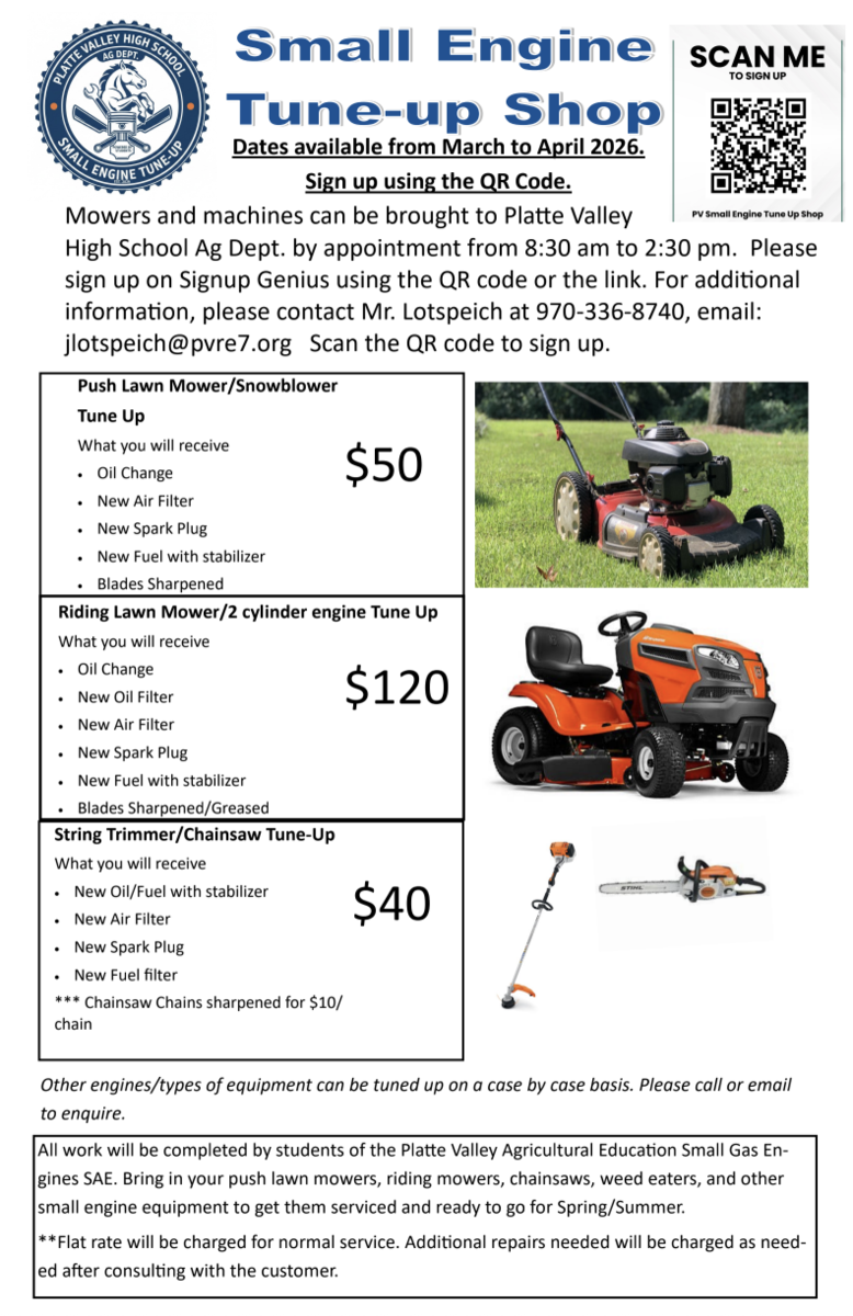 small engine tune up