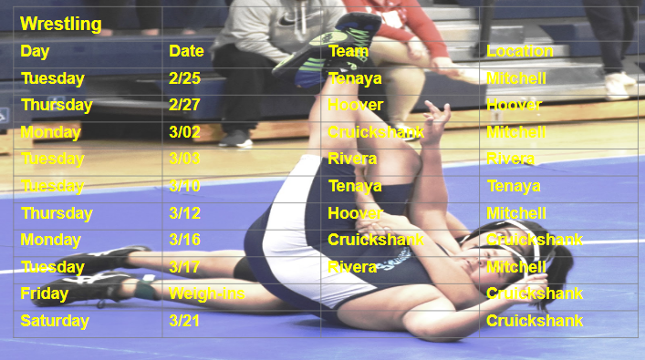 Wrestling 2020