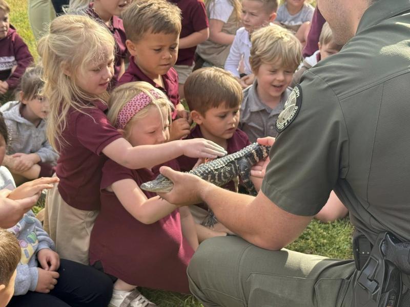 Clarkdale Kindergartners Touching a Baby Alligator