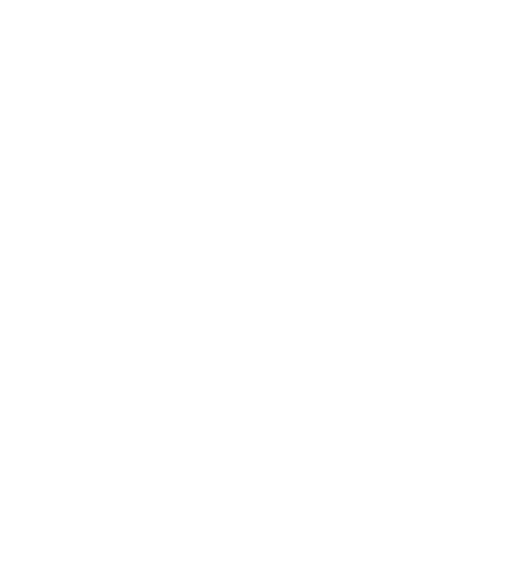 ESSA Program logo