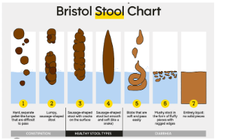 Stool Chart