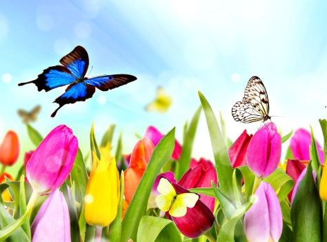 Spring