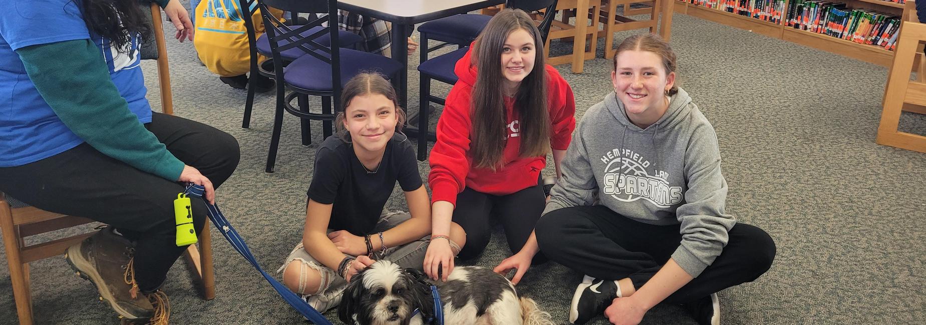 3rd Quarter Mystery Motivator: Therapy Dogs