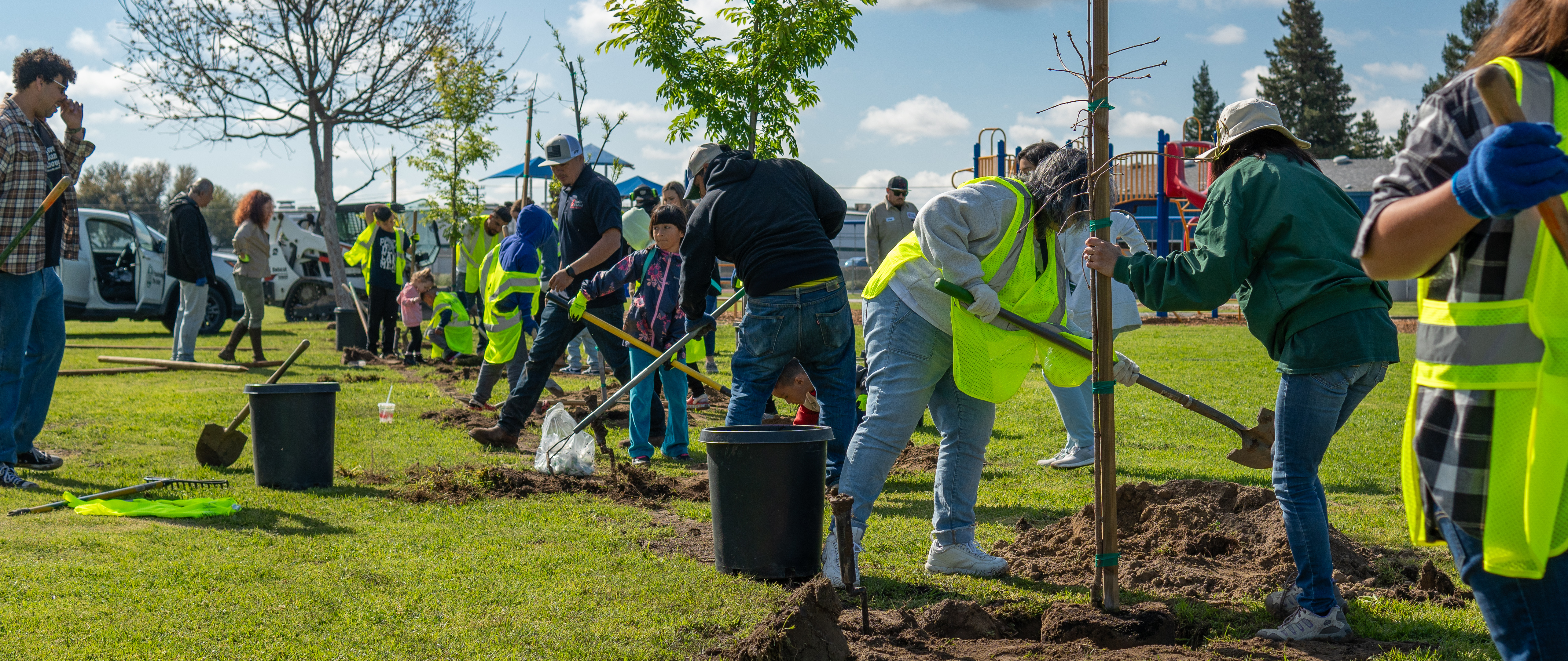 Malaga Tree Planting