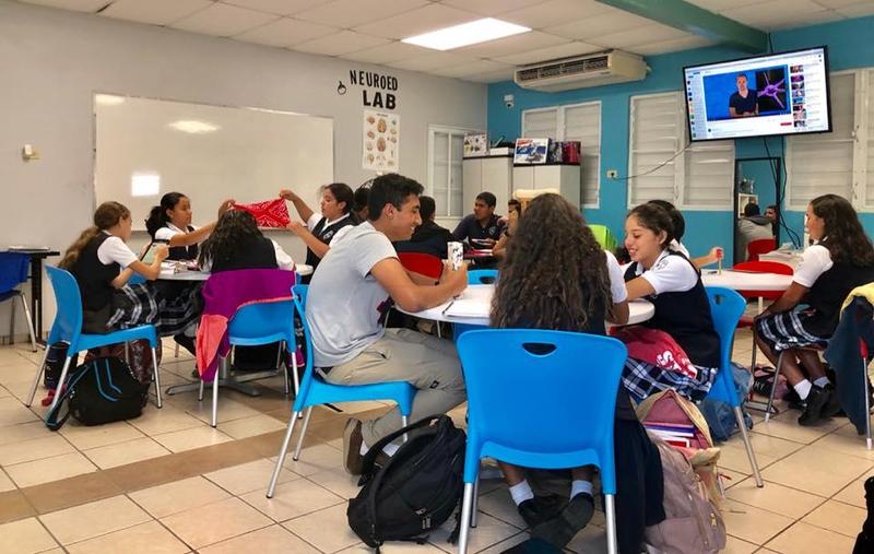 Neuroscience at Washburn School