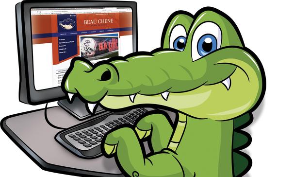 gator checking out the BC website