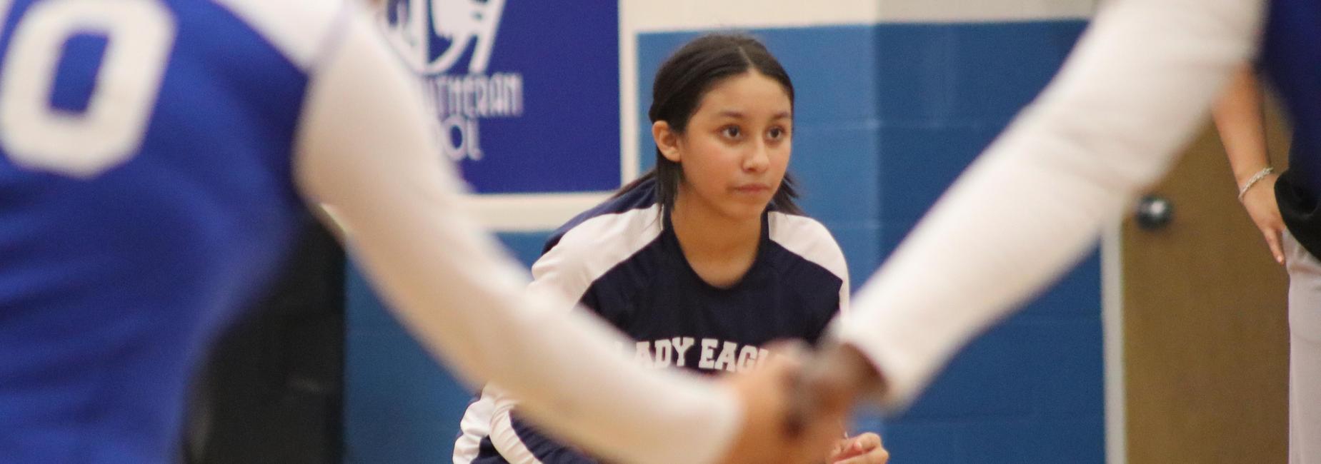 a team volleyball