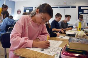 Students engaged in a classroom activity, writing at their desks.
