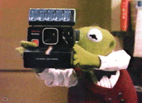 Kermit taking picture