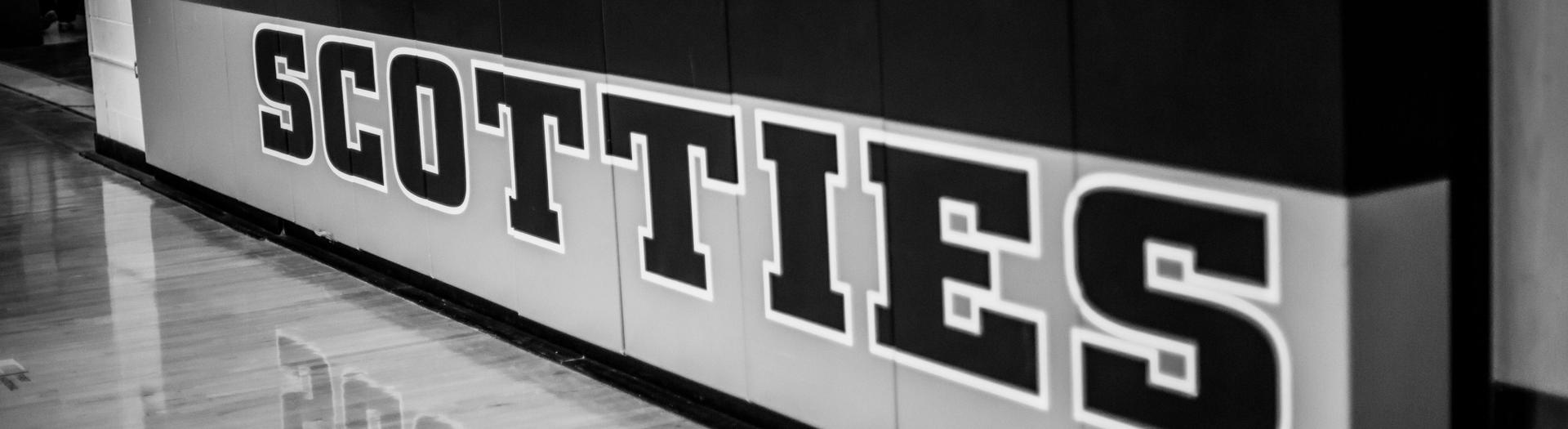 Philip Scotties Gym pads
