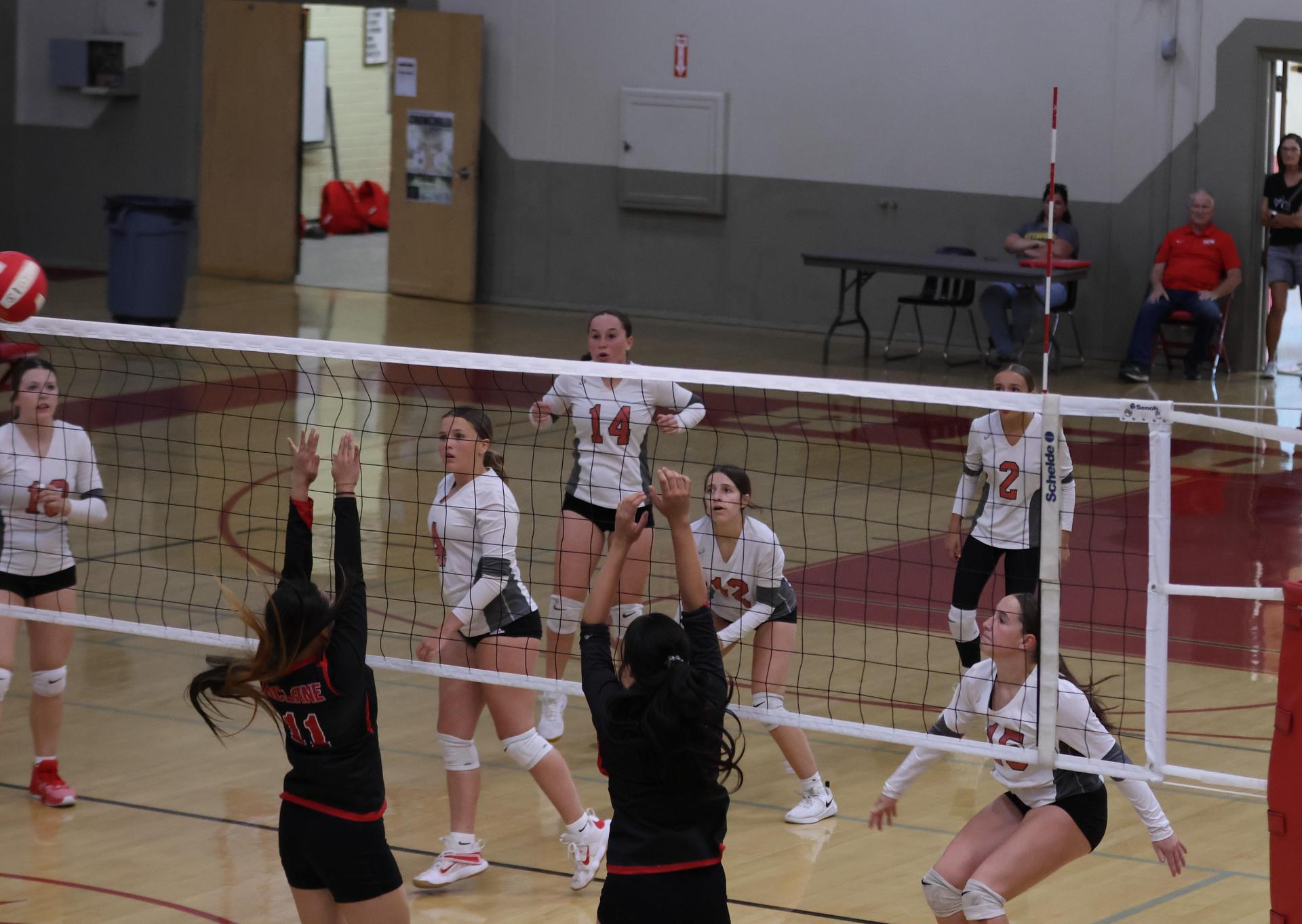 junior varsity girls playing volleyball 100