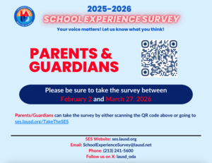 School experience survey
