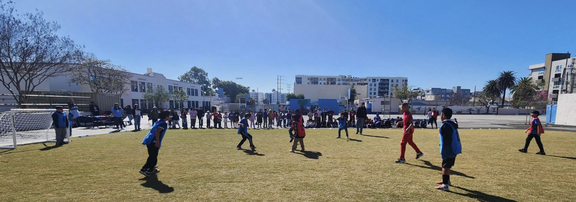 Soccer field