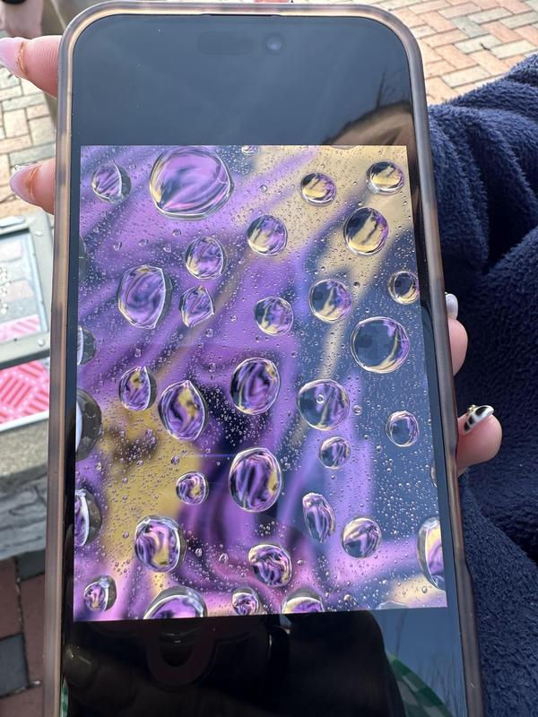 What did we do at school?