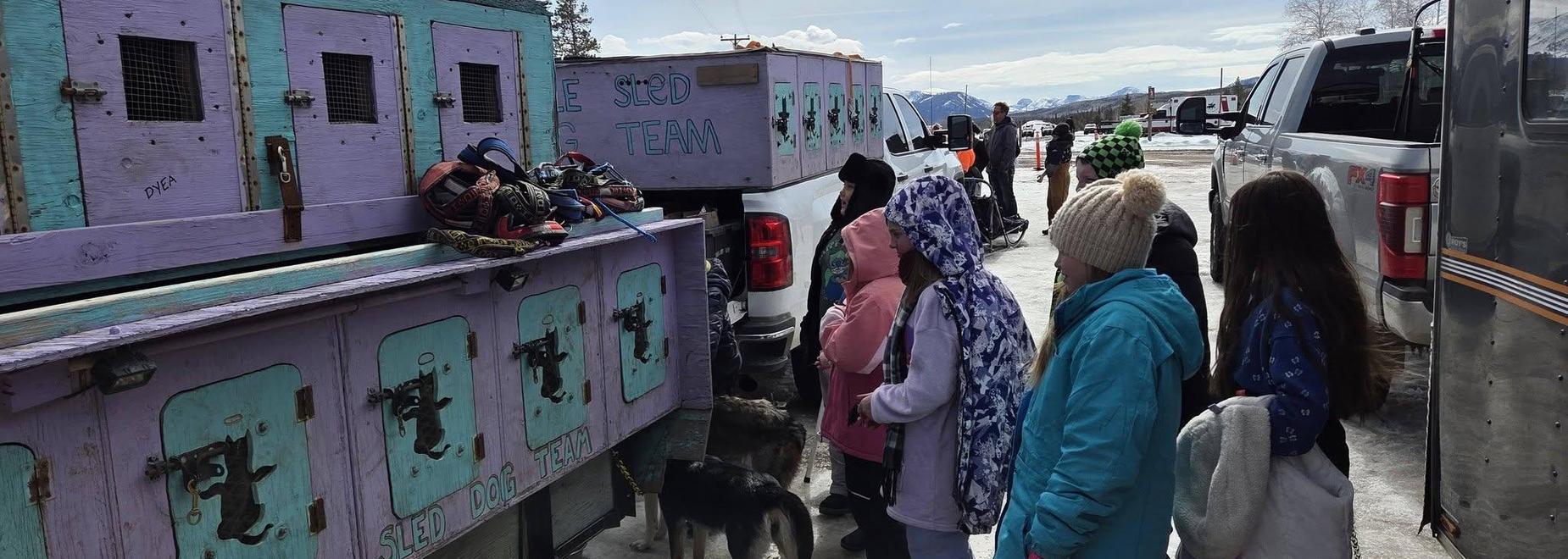 A group of people observing sled dog teams at a snowy location.