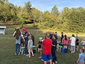 Fall Festival