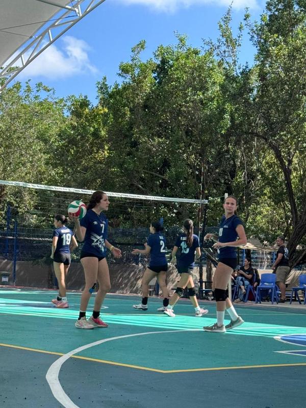 WhatsApp Image 2026-03-12 at 12.59.39 PM (13).jpeg