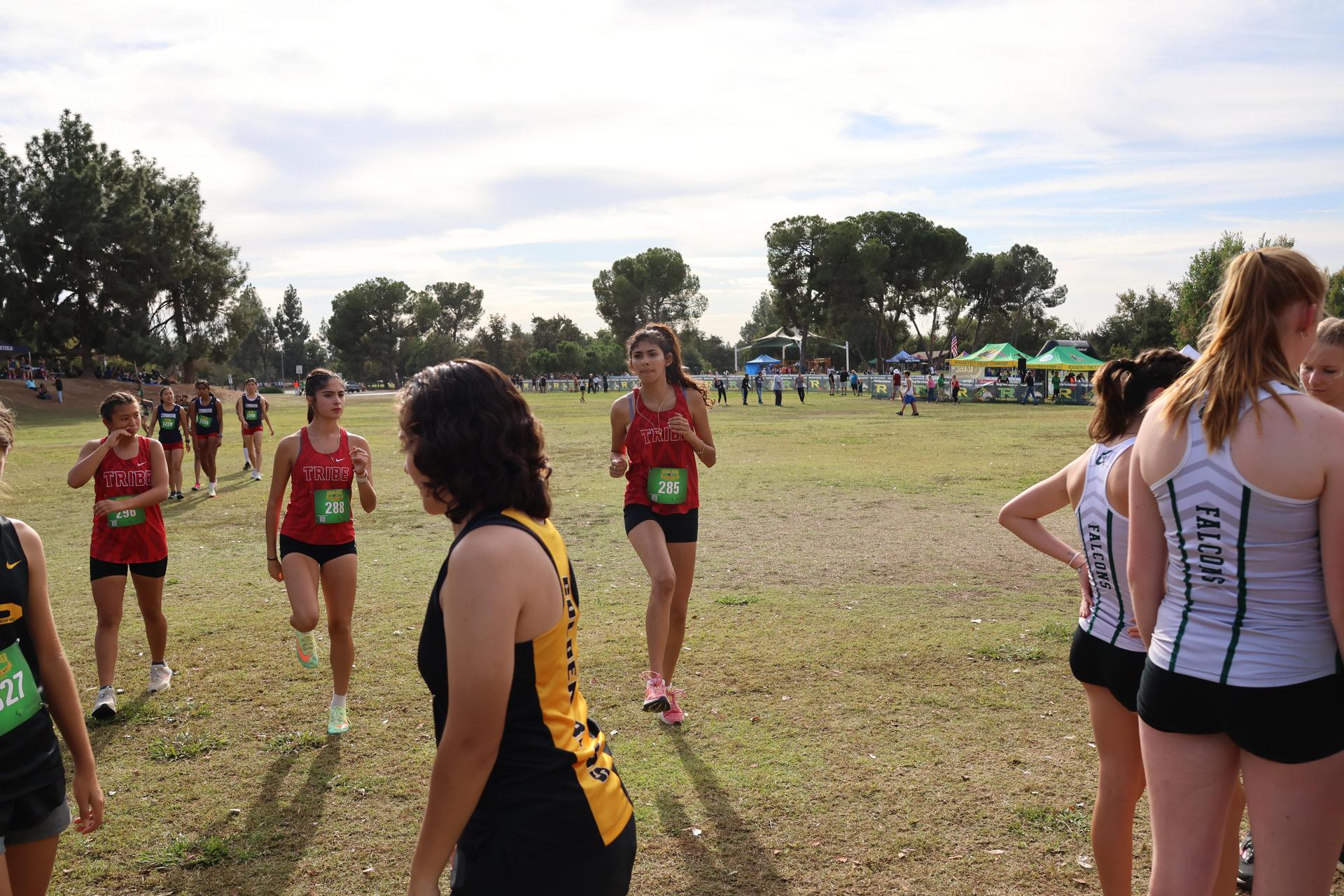 cross country runners in action