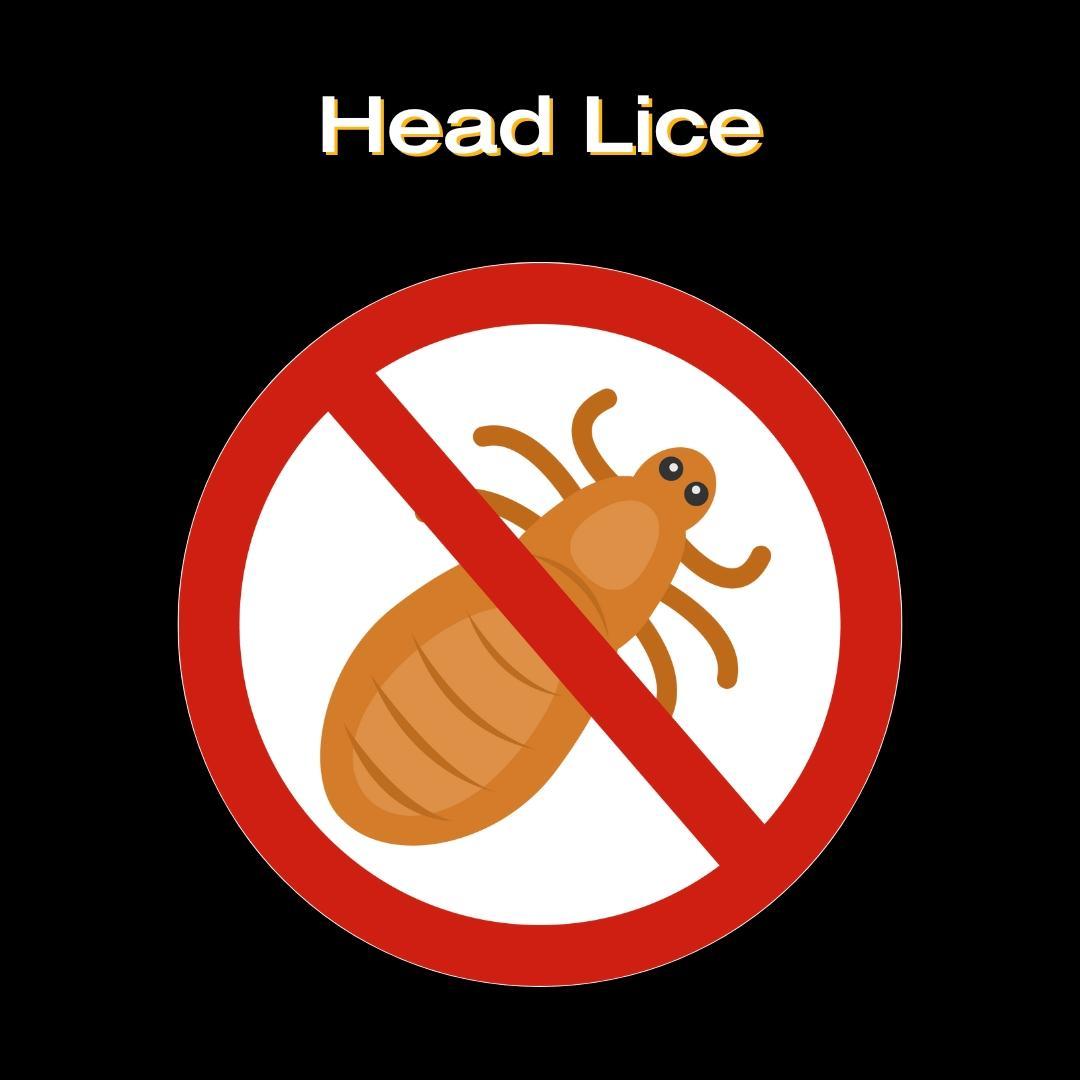Image includes the title "Head Lice" with an image of a louse and red crossed out circle over it.